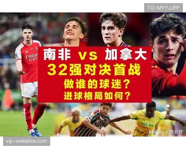 南非世界杯32强赛程回顾：对阵加拿大比赛信息整理