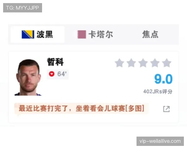 波黑3-1卡塔尔回顾：末轮赢球锁定晋级资格
